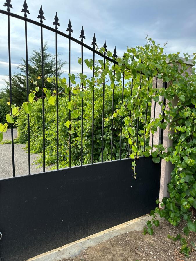 La Villa Du Rayol Saint Maximin Eksteriør bilde